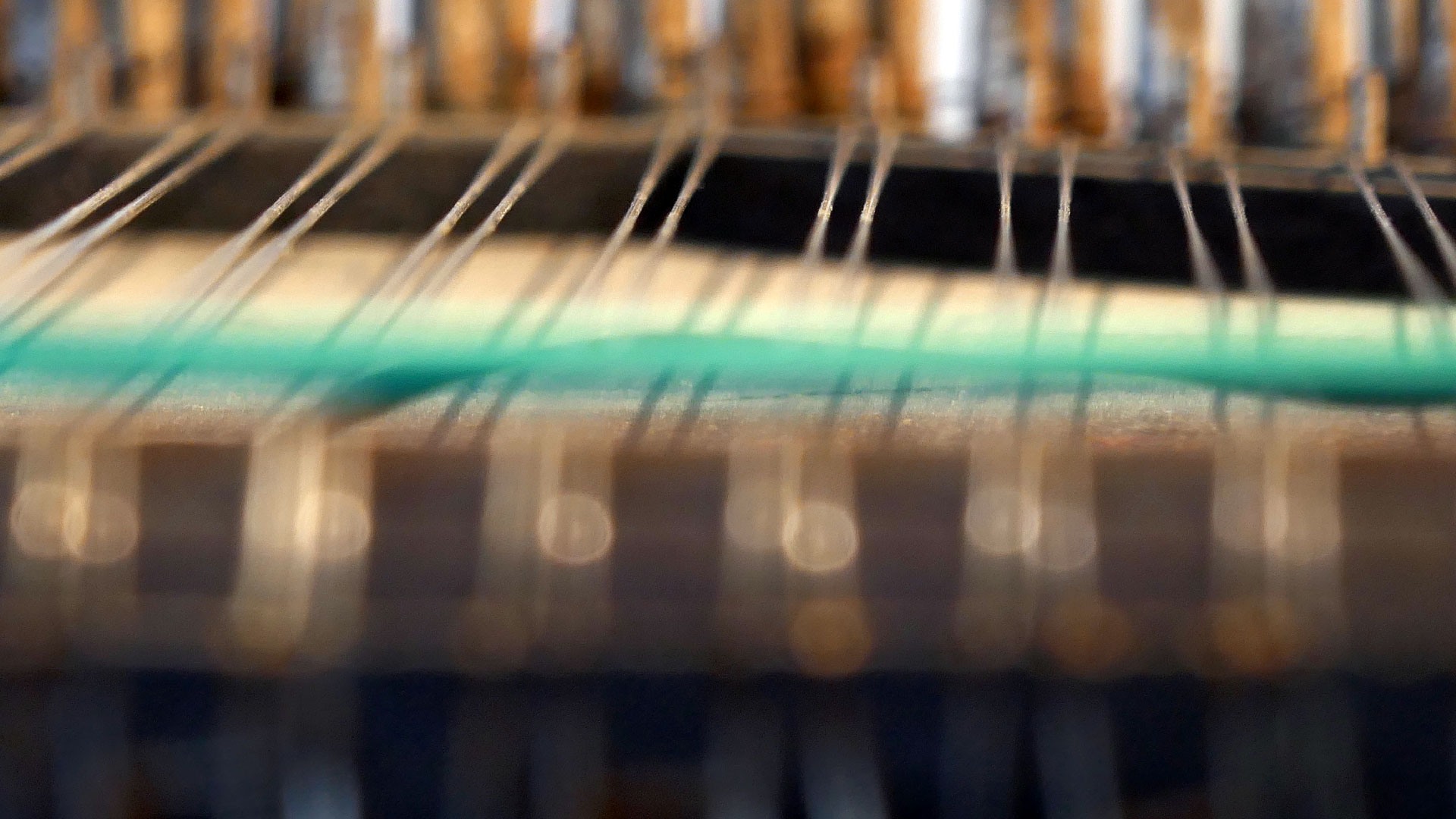 2023-10-01 Zither (Stimmen und Soundcheck)